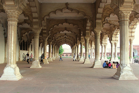 Desde Delhi : Excursión guiada de un día al Taj Mahal y al Fuerte de AgraExcursión sólo con coche y guía