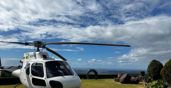 Gold Coast Hinterland: Pub Crawl by Private Helicopter