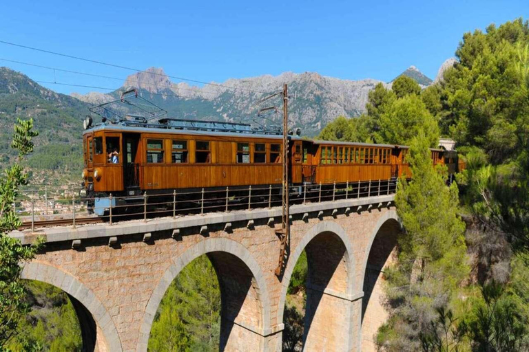 All of Mallorca: Exclusive Experience in an Intimate Group (12 people max.)