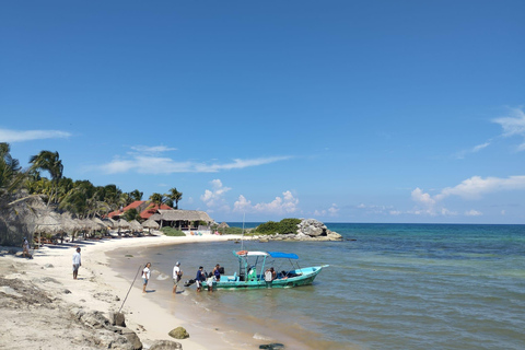 Playa del Carmen Tulum, Playa Paraiso, and 5th Avenue Tour