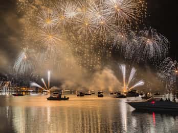 Fireworks Cruise with Drinks