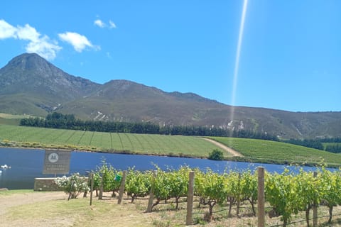 Franschoek:wine tasting with a local guide for best