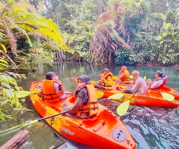Krabi kayaking and swimming clongrood Tour