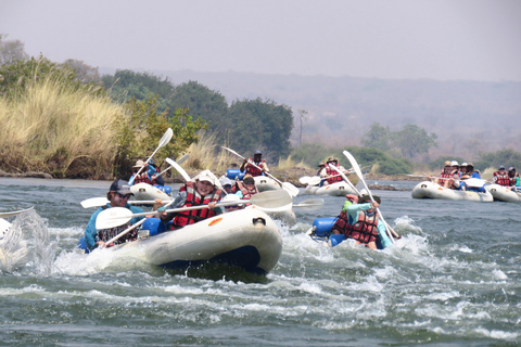 Victoria Falls: Canoeing - Upper Zambezi (Day Trail)