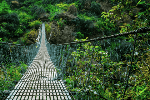 From Kathmandu: Langtang Valley Trekking Adventure