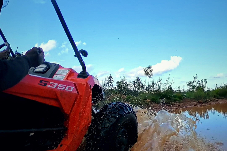 Capetown: Waterfall Buggy Tour for Couples with Guide