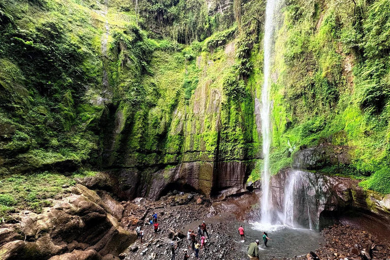From Arusha: Napuru Waterfalls Guided Hike with Lunch