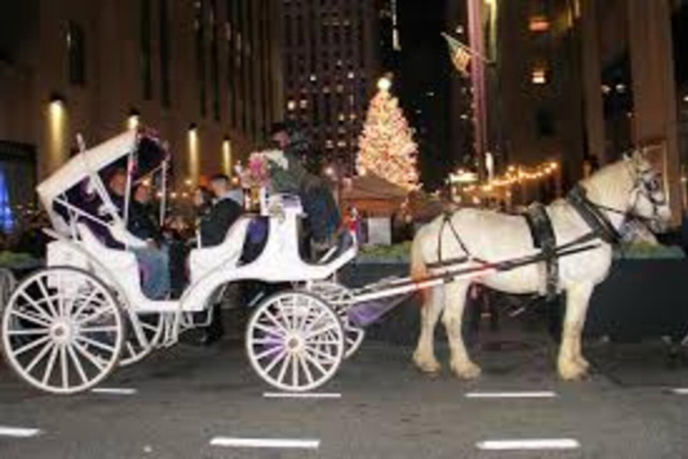 NYC: Central Park Christmas Lights Horse-Drawn Carriage Ride