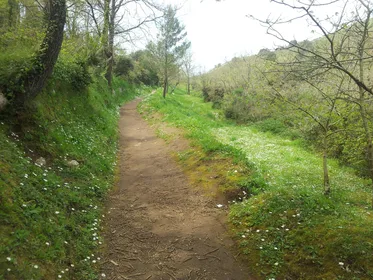 Wandern auf Anacapri: Entdecke die Natur abseits der Menschenmassen, ...