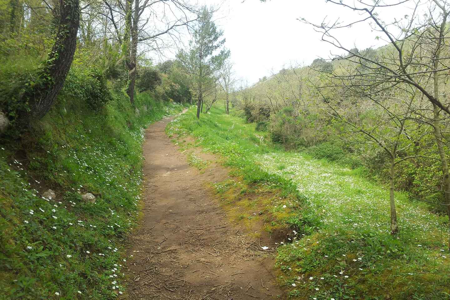 Senderismo en Anacapri: descubre la naturaleza lejos de las multitudes, ascenso a Monte Solaro