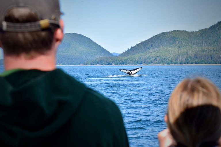 Juneau: Whale Watching Cruise with Bus Transfer