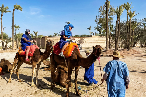 Marrakech : balade en chameau à la palmeraieMarrakech : balade en chameau de 3 h à la palmeraie