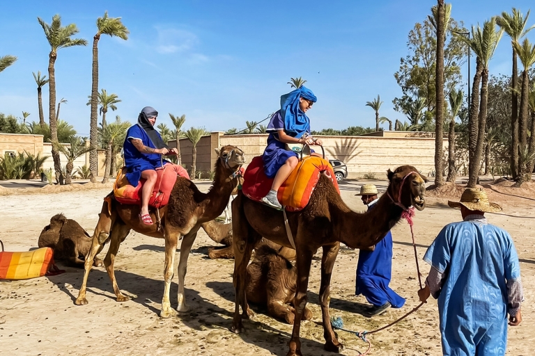 Marrakech : balade en chameau à la palmeraieMarrakech : balade en chameau de 3 h à la palmeraie