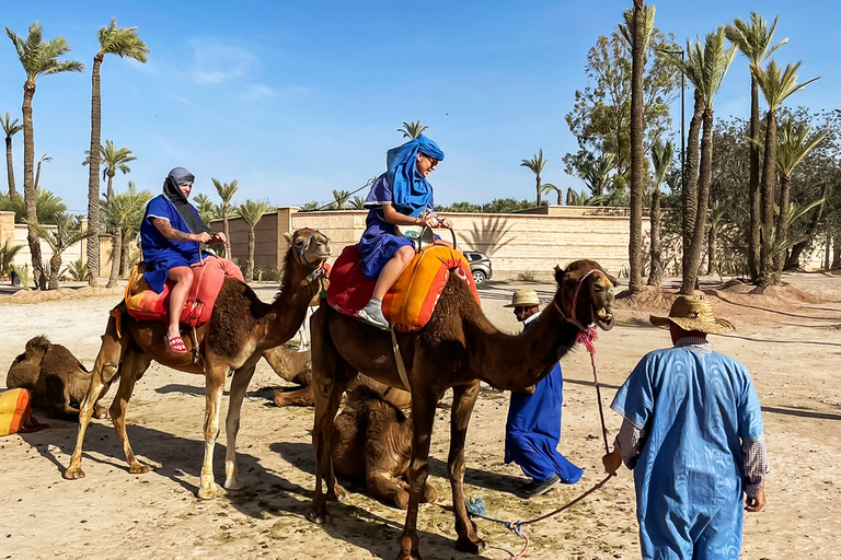 Marrakesch: Kamelritt im PalmenhainMarrakesch: 3 Stunden privater Kamelritt im Palmenhain