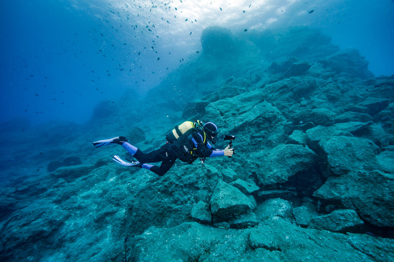 Madeira: Full-Day Dive Pack