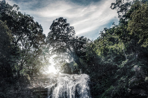 Fullt laddad Sri Lanka | GRATIS resa till Sigiriya och Dambulla