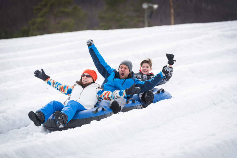 Tromsø : Luge de neige avec peaux de rennes et boissons chaudes.