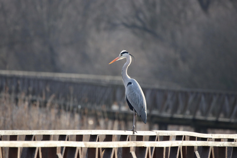 探索克罗地亚东部：葡萄酒、自然和遗产私人观光