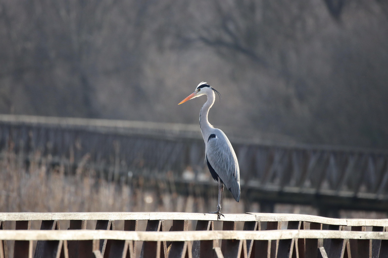 探索克罗地亚东部：葡萄酒、自然和遗产私人观光