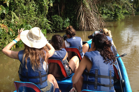 Tortuguero: Tour in canoa e avvistamento della fauna selvatica