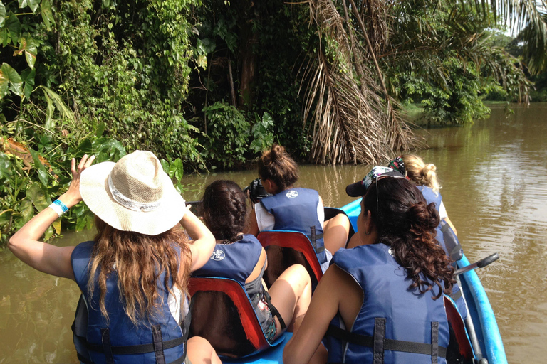 Tortuguero: Excursión en canoa y avistamiento de fauna