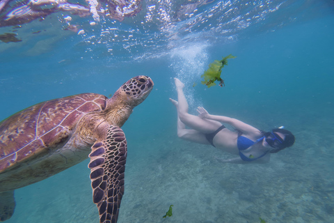 Mirissa: Coral Coast Divers Snorkeling Tour with Turtles