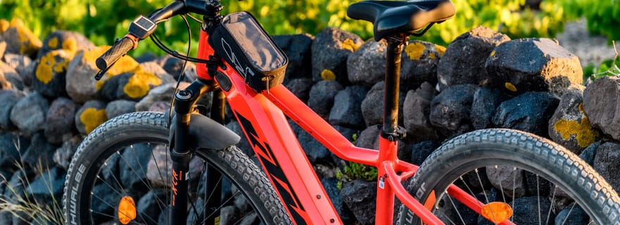 Visite guidée de Santorin en e-bike