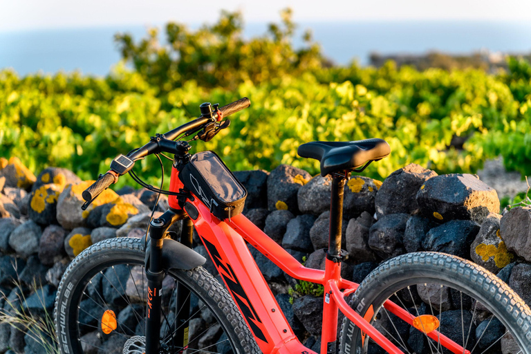 Visite guidée de Santorin en e-bike