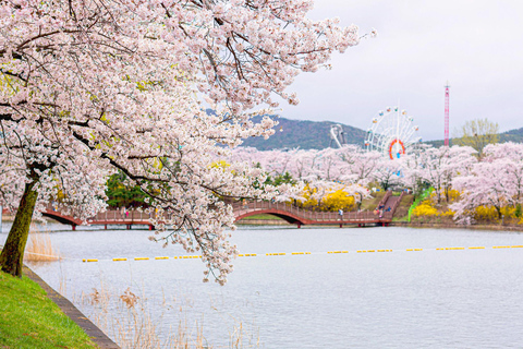 Busan : Sky Capsule ou visite printanière des cerisiers en fleurs de GyeongjuVisite printanière de Busan en Sky Capsule, rendez-vous à la station Seomyeon