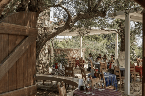 Chania Luxury Jeep Safaris : Secrets de dégustation de vin et d'huile d'oliveJeep Premium