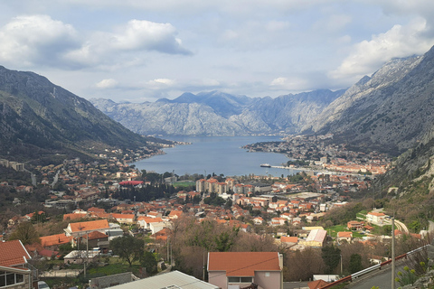From Dubrovnik: Montenegro Full-Day Tour