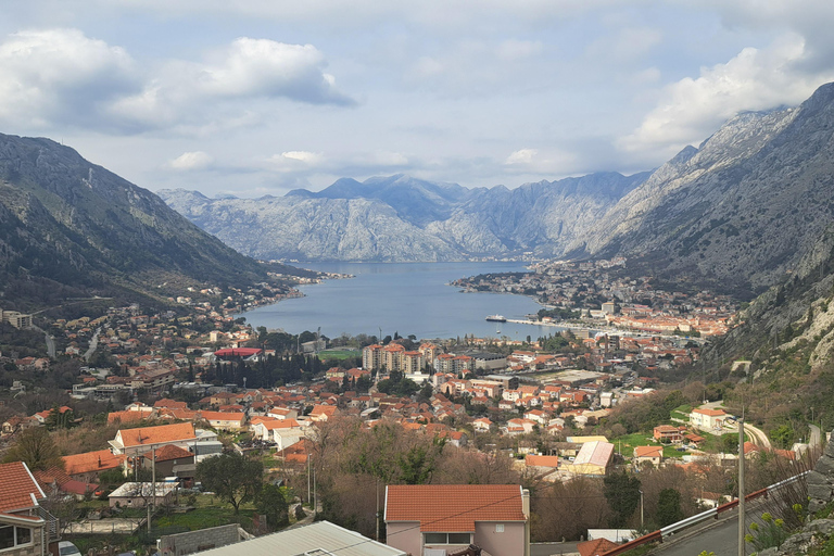 From Dubrovnik: Montenegro Full-Day Tour