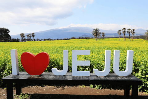 Jeju : excursion authentique d'une journée dans le sud classé UNESCO