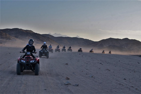 Hurghada: Quad, Buggy, Jeepsafari, kamelenrit & DinerQuad, Buggy, Jeepsafari, kamelenrit & diner