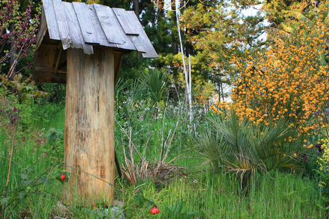 Batumi: Sweet Excursion and Mtirala Forest