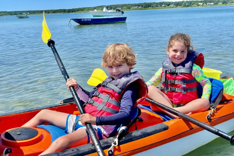 Oak Bluffs: Kayak Tour with Wildlife Single Kayak