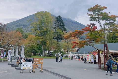From Tokyo: Nikko World Heritage Private Tour with Guide Nikko World Heritage Full Day share Van tour