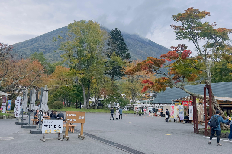 From Tokyo: Nikko World Heritage Private Tour with Guide Nikko World Heritage Full Day share Van tour