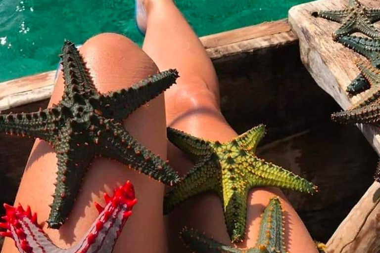 Zanzíbar: Bosque de Jozani, playa Starfish y restaurante RockIsla de Zanzíbar: crucero al atardecer en dhow con refrigerio