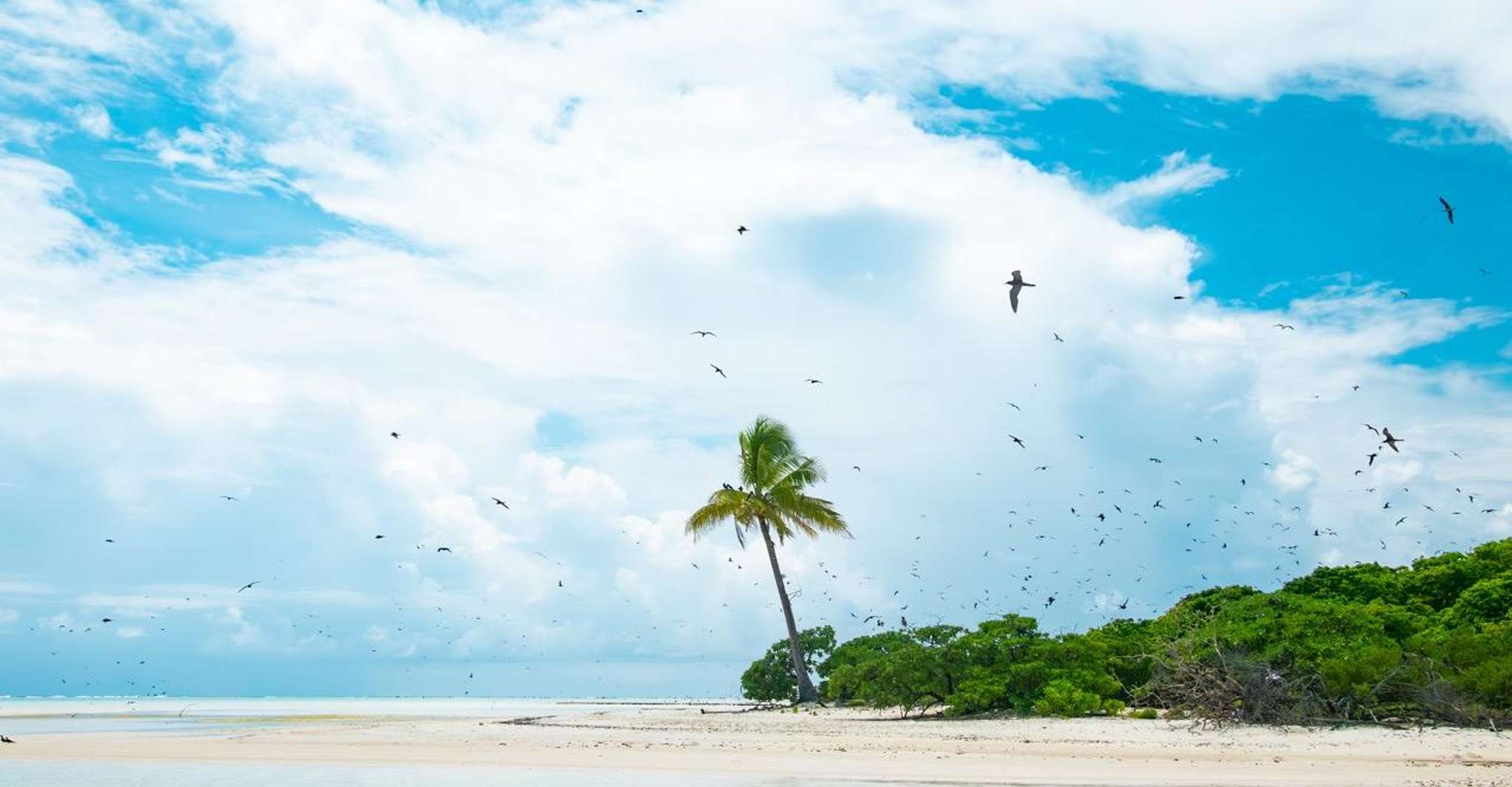 Tetiaroa Island by sailing catamaran - from Tahiti - Housity