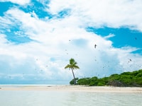 Taungoo Island par voile Catamaran - de Tahiti - Housity
