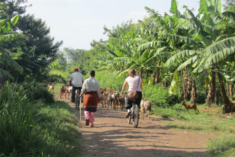 Tanzania: Northern Circuit Luxury Safari