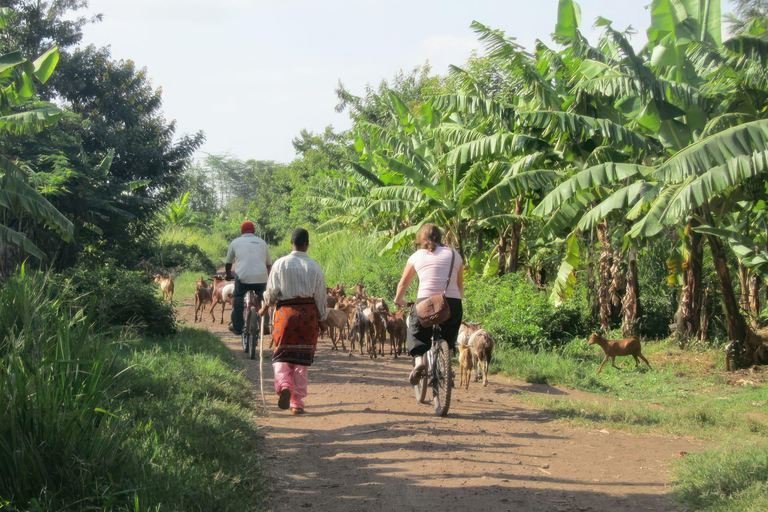 Tanzania: Northern Circuit Luxury Safari