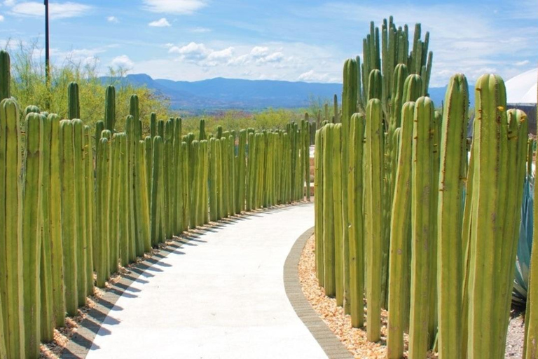 Città del Messico: Esplora i giardini messicani e la città di TepoztlanTour della città di Messico: Esplora i giardini messicani e la città di Tepoztlan