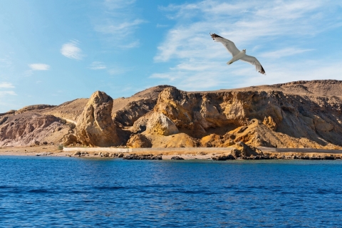 Sharm El Sheikh: dzienny rejs na Białą Wyspę i Ras MohamedWhite Island i Ras Mohamed ze sprzętem do nurkowania