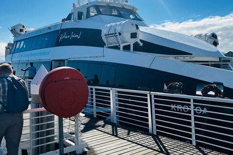 Robben Island, Penguins & Cape of Good Hope Adventure
