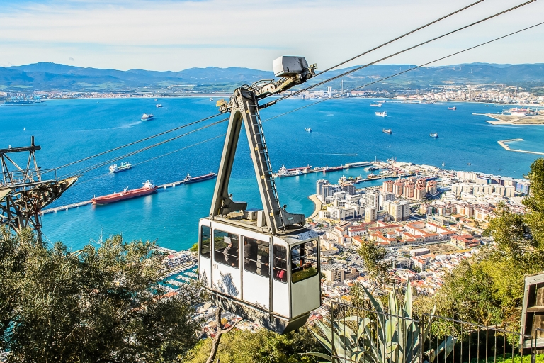 Gibraltar: teleférico y avistamiento de delfinesGibraltar: teleférico y observación delfines (4 h)