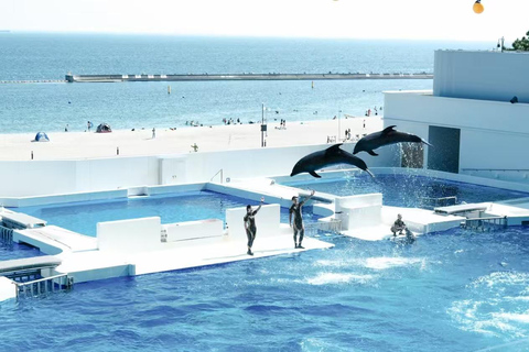 Nagoya: Port of Nagoya Public Aquarium Admission Ticket