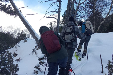 Cerdanya: Snowshoe tour through the forests and lakes of the Pyrenees