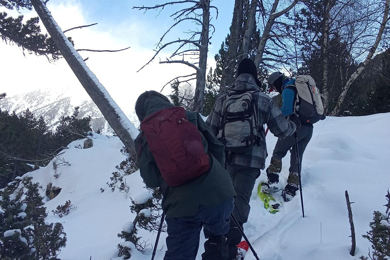 Cerdanya: Snowshoe tour through the forests and lakes of the Pyrenees